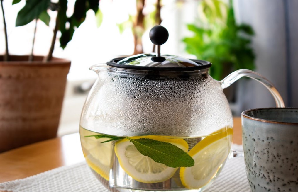 Water Filter Pitcher